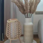 Apartment Forma
